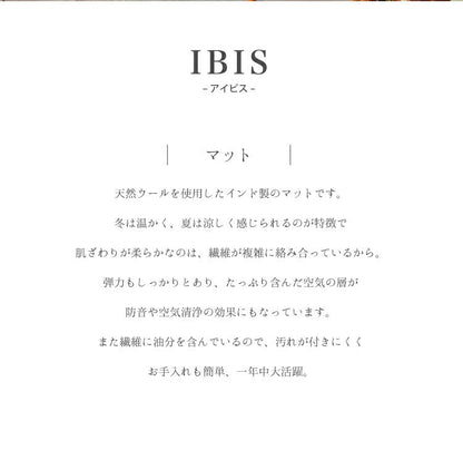 マット アイビス/IBIS（約60×90cm）